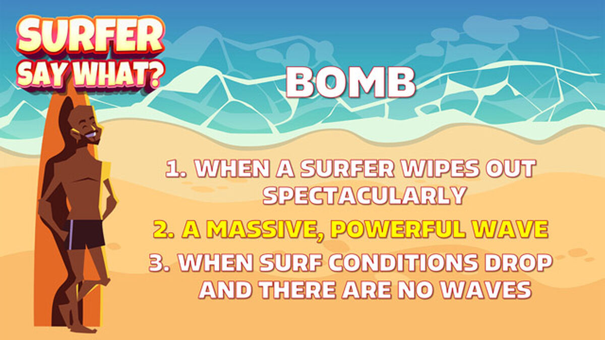 Surfer Say What? image number null